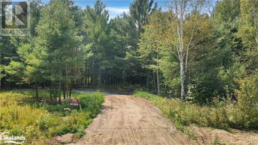 Algonquin Highlands, ON K0M1J2,LOT 1 N/A