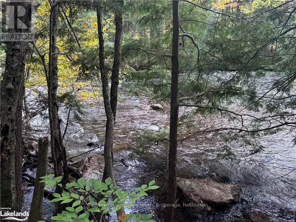 Algonquin Highlands, ON K0M1J2,LOT 13 N/A