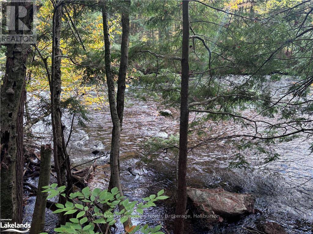 Algonquin Highlands (stanhope), ON K0M1J2,LOT 13