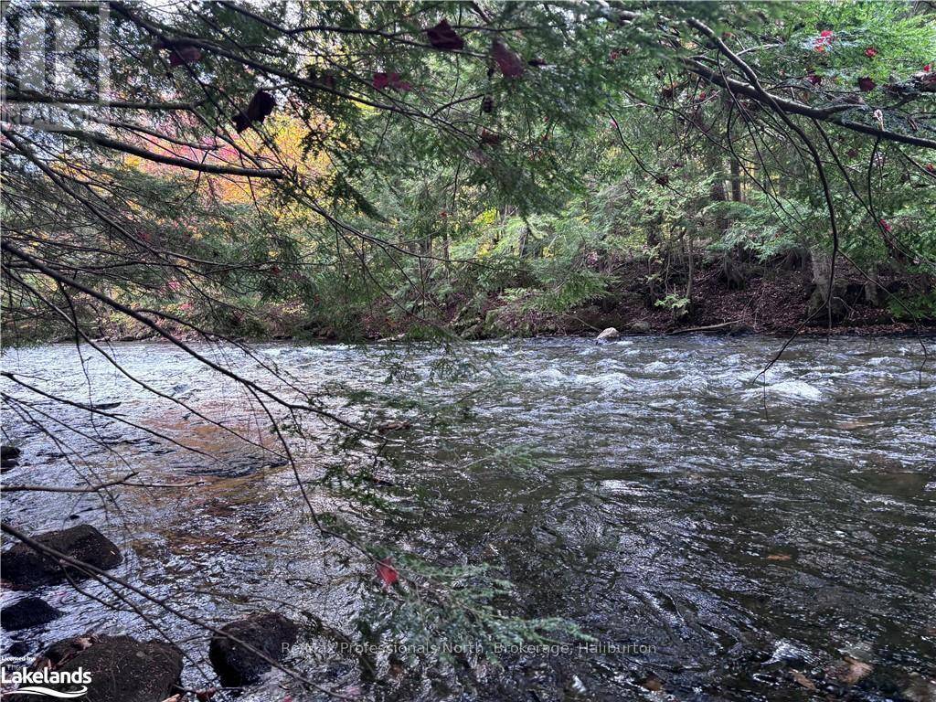 Algonquin Highlands (stanhope), ON K0M1J2,LOT 13