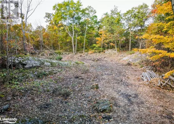 Georgian Bay (baxter), ON L0K1S0,87 CORRIEVALE RD #Lot A