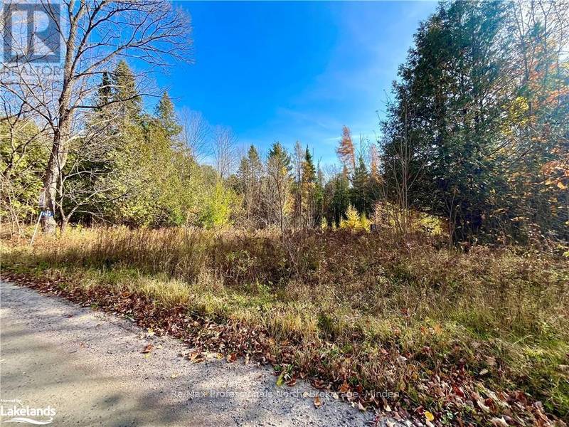 1164 RAVINE ROAD, Minden Hills, ON K0M2K0