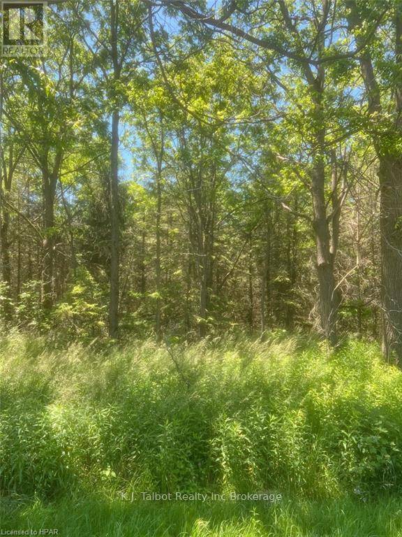 PT4 GRIST MILL LINE, Ashfield-colborne-wawanosh (colborne), ON N7A3Y1