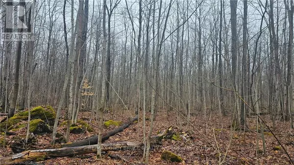 Georgian Bluffs, ON N0H2T0,PT LT 15 CONCESSION RD 21