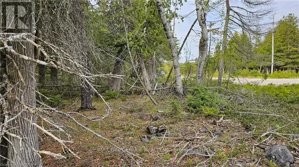 Northern Bruce Peninsula, ON N0H2R0,LT 255 PL 433 PEDWELL PT DRIVE