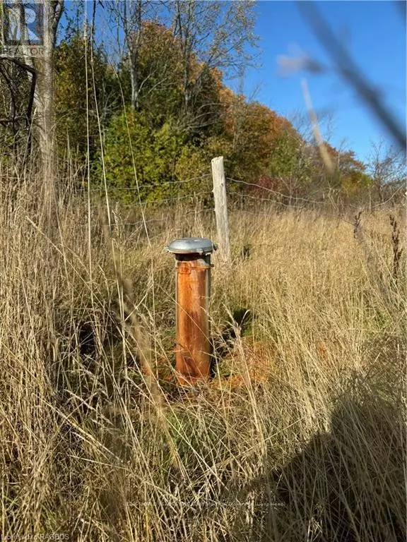 Northern Bruce Peninsula, ON N0H2T0,3288 HIGHWAY 6