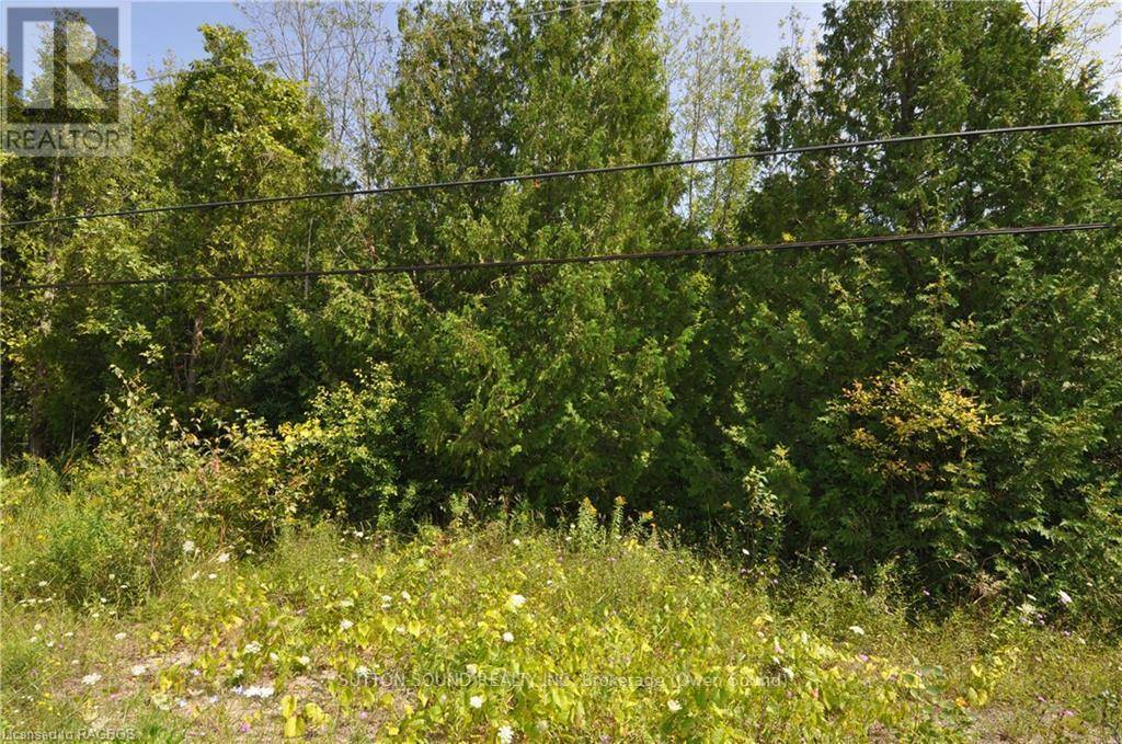 Georgian Bluffs, ON N0H2T0,PT LT 12 COLPOYS RANGE ROAD