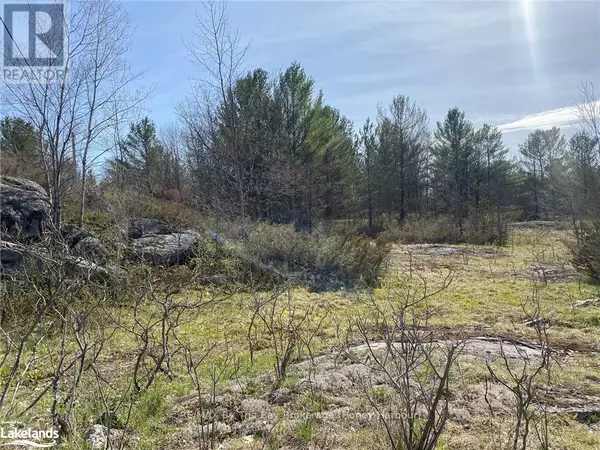 Georgian Bay (baxter), ON L0K1S0,58 LODGE ROAD