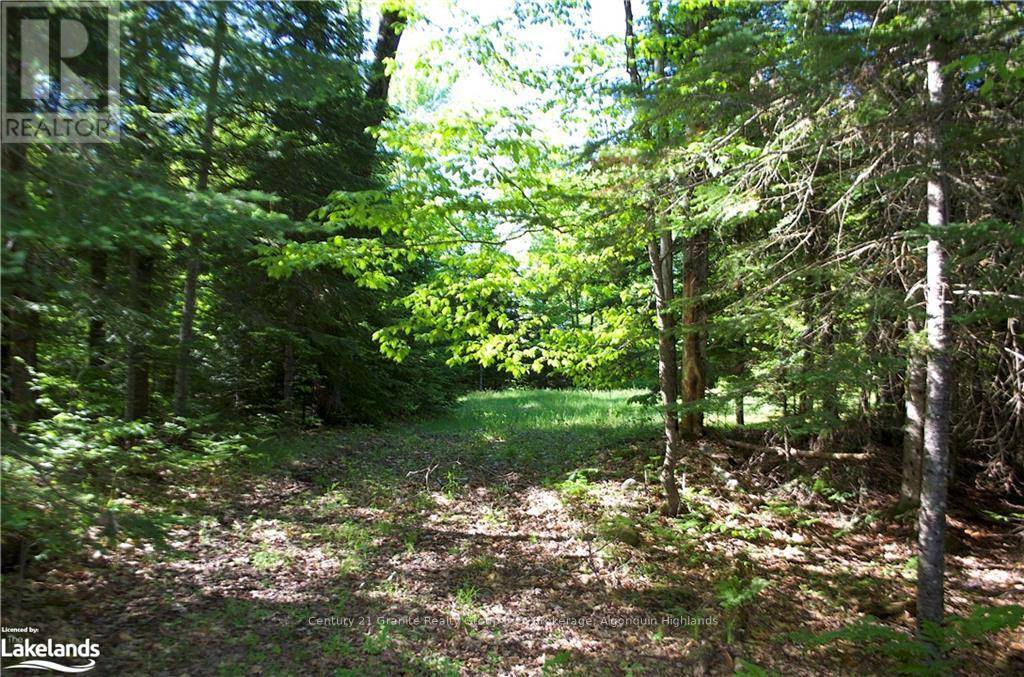 Dysart Et Al (dudley), ON K0M1S0,2823 HARBURN ROAD