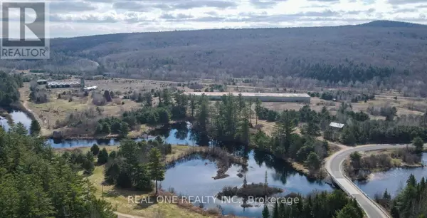 4002 ELEPHANT LAKE ROAD, Dysart Et Al (harcourt), ON K0L1M1