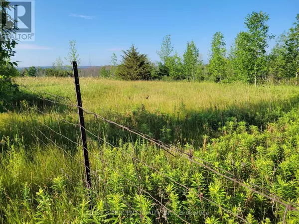 Alnwick/haldimand, ON K0K2X0,0 CURTIS POINT ROAD