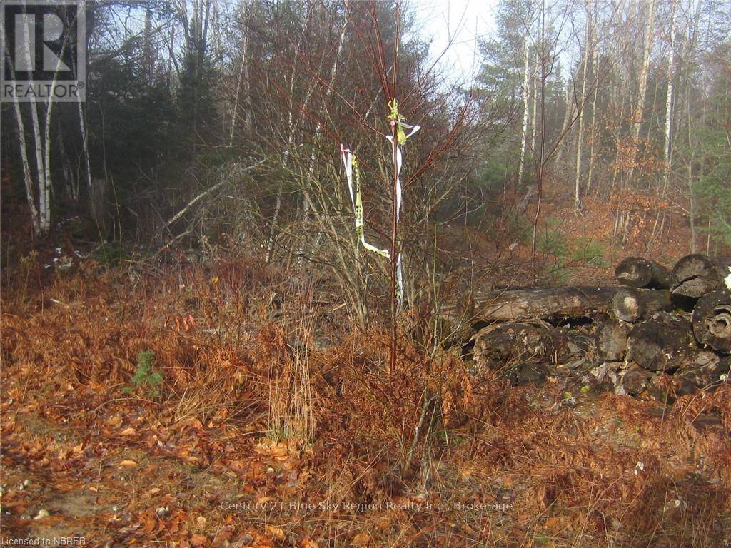 Lake Of Bays (franklin), ON P0A1H0,LOT 28 CONCESSION 11 ROAD