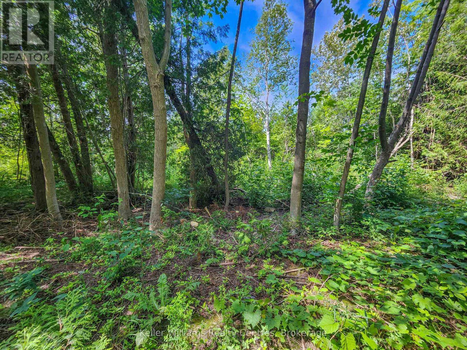 Georgian Bluffs, ON N0H2T0,151 MALLARD ST