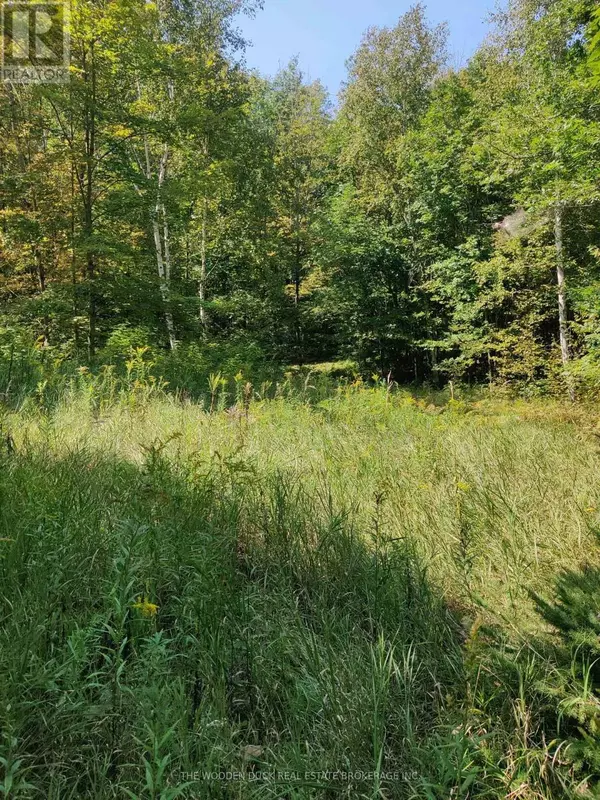 Havelock-belmont-methuen (belmont-methuen), ON K0L1Z0,0EAST1 ROAD ALLOWANCE ROAD