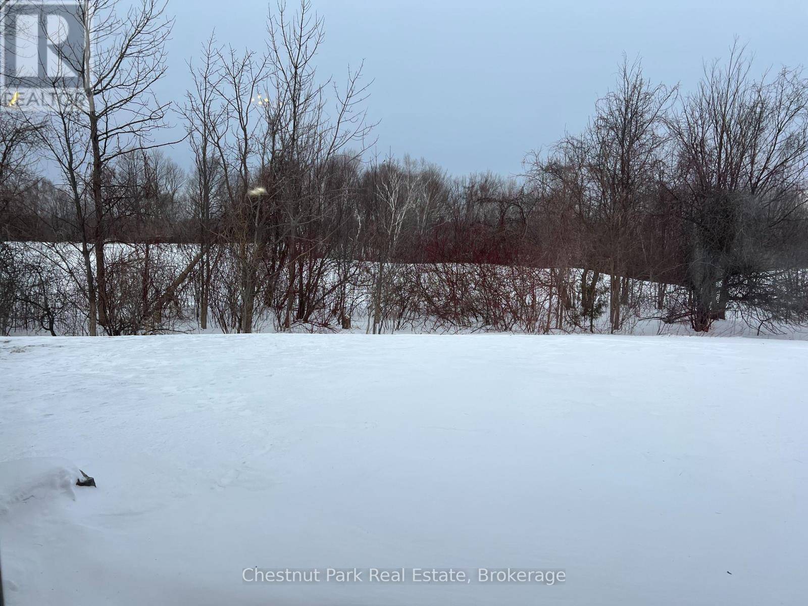 Blue Mountains, ON L9Y0V1,170 Snowbridge WAY #123