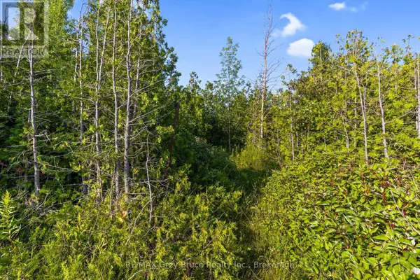 Northern Bruce Peninsula, ON N0H1Z0,PART 10 HIGHWAY 6