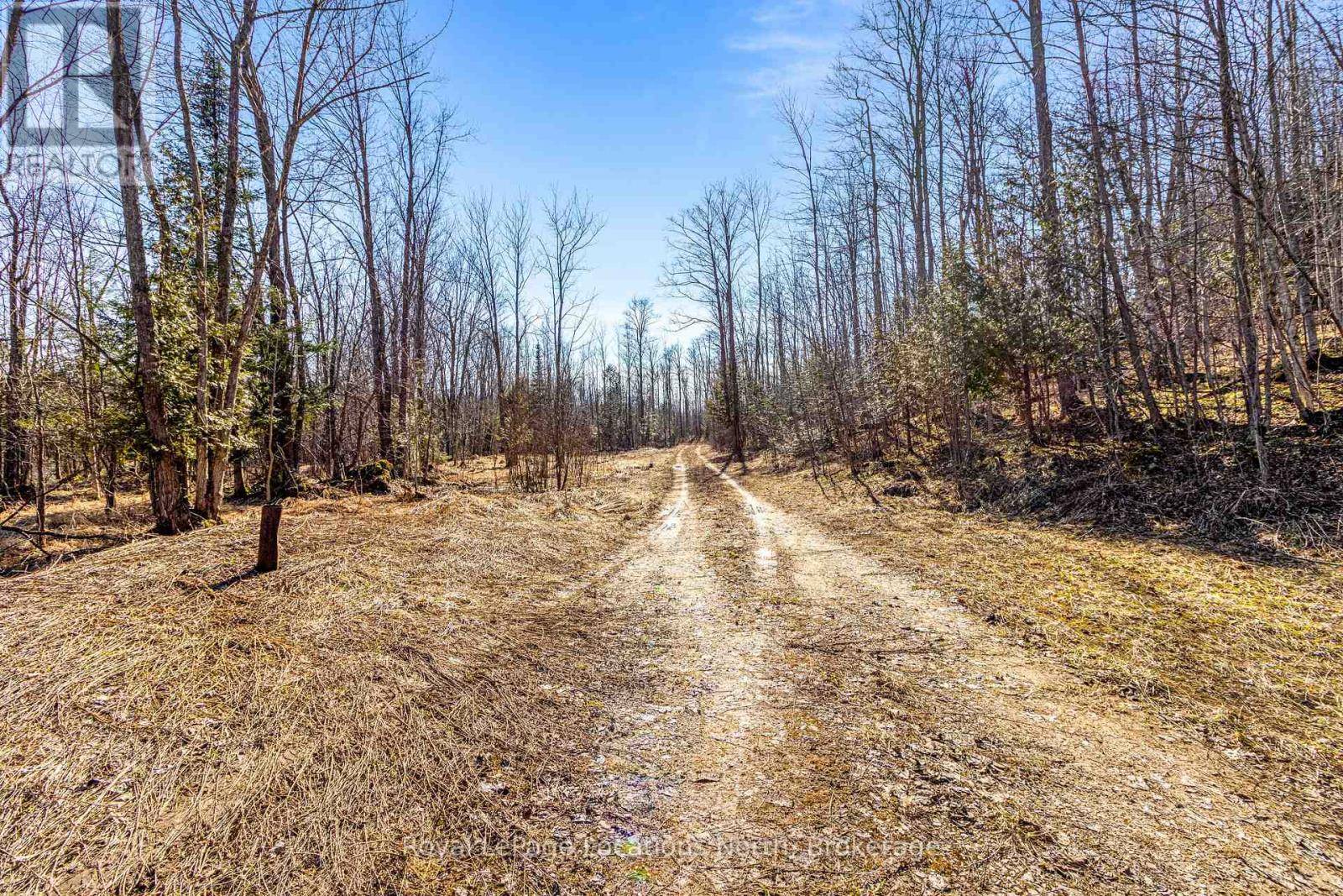 Grey Highlands, ON N0H2S0,825141 GREY ROAD 40 ROAD