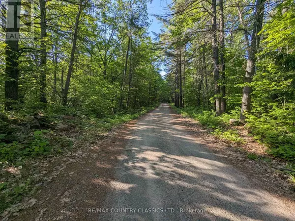 Madawaska Valley, ON K0J1B0,LOT A OTTER LAKE LANE