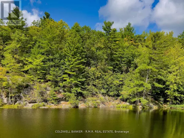 Addington Highlands, ON K0H1Z0,8860 COUNTY RD 41
