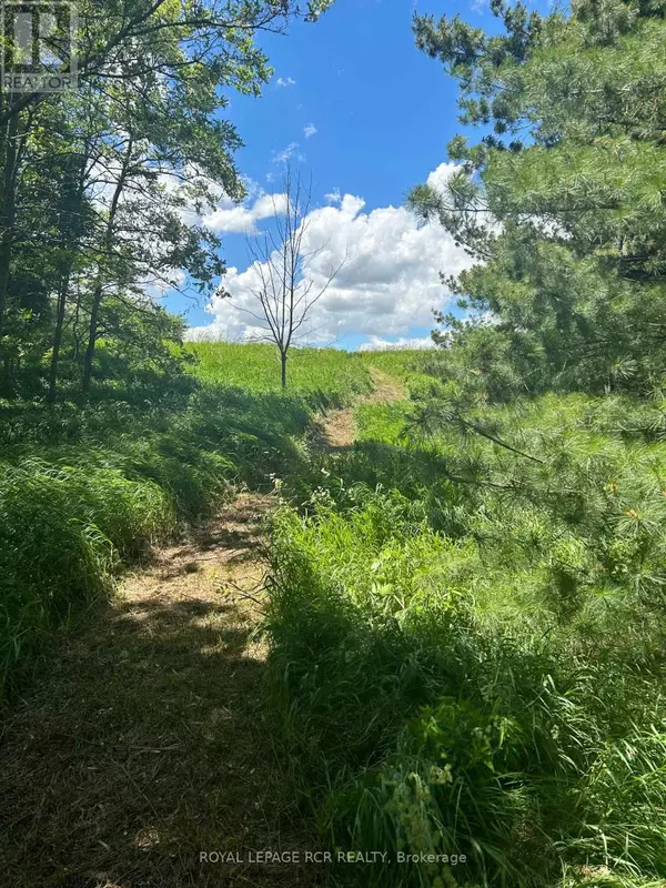 Mulmur, ON L9V0J8,LOT 29 5TH LINE E