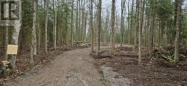 Trent Lakes, ON K0M2A0,0B REID STREET