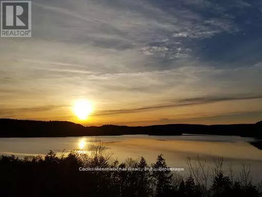 0 HIGHWAY 35 HIGHWAY, Lake Of Bays (ridout), ON P0A1E0