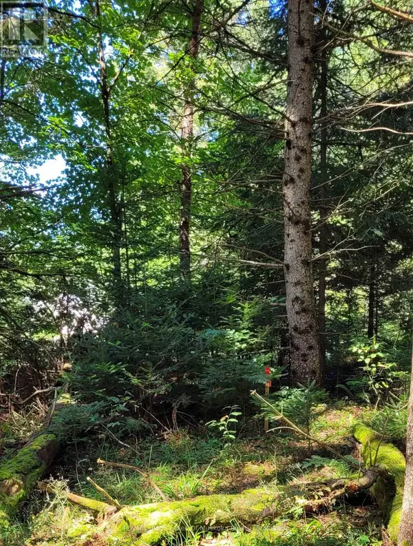 Algonquin Highlands (stanhope), ON K0M1J0,1059 ABLETT COURT