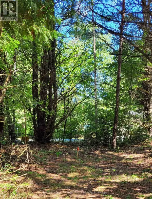 Algonquin Highlands (stanhope), ON K0M1J0,1059 ABLETT COURT