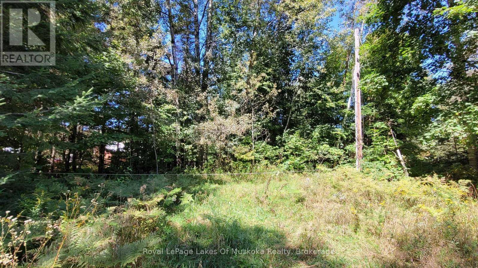 Algonquin Highlands (stanhope), ON K0M1J0,1059 ABLETT COURT