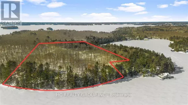 Muskoka Lakes (medora), ON P0B1J0,R60- PT5 TOBINS ISLAND