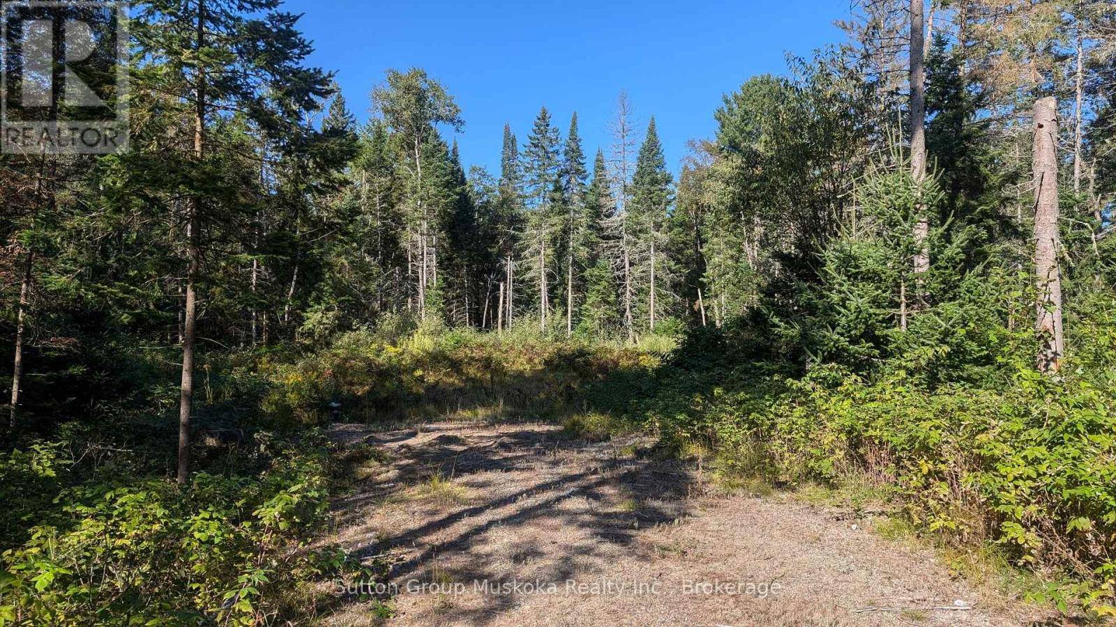 Huntsville (stephenson), ON P0B1L0,LOT 17 CRIMSON LANE