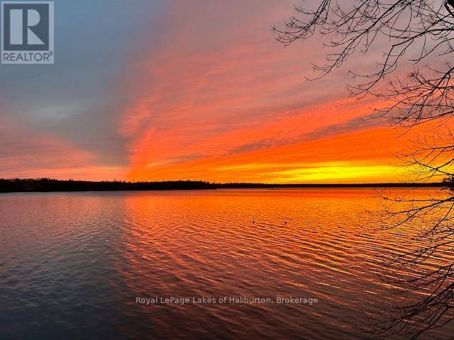 Kawartha Lakes (laxton/digby/longford), ON K0M2B0,95 SUNSET BEACH ROAD