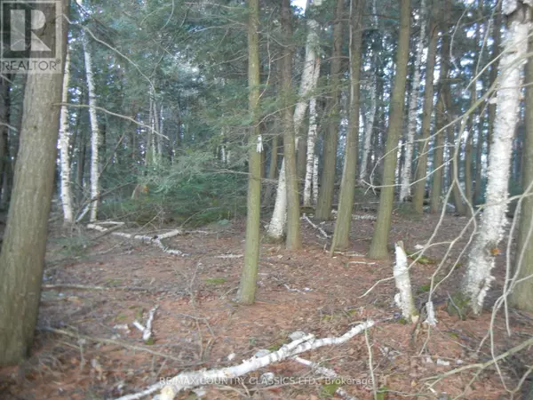 North Kawartha, ON K0L1A0,0 KNOX POINT ROAD