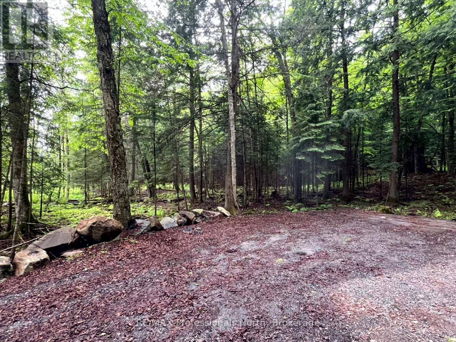 Minden Hills (minden), ON K0M2K0,TBD COUNTY 21 ROAD