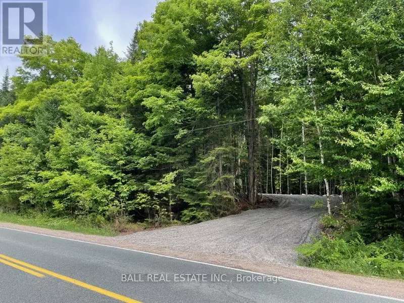 1350 HALIBURTON LAKE RD, Dysart Et Al (dysart), ON K0M1S0