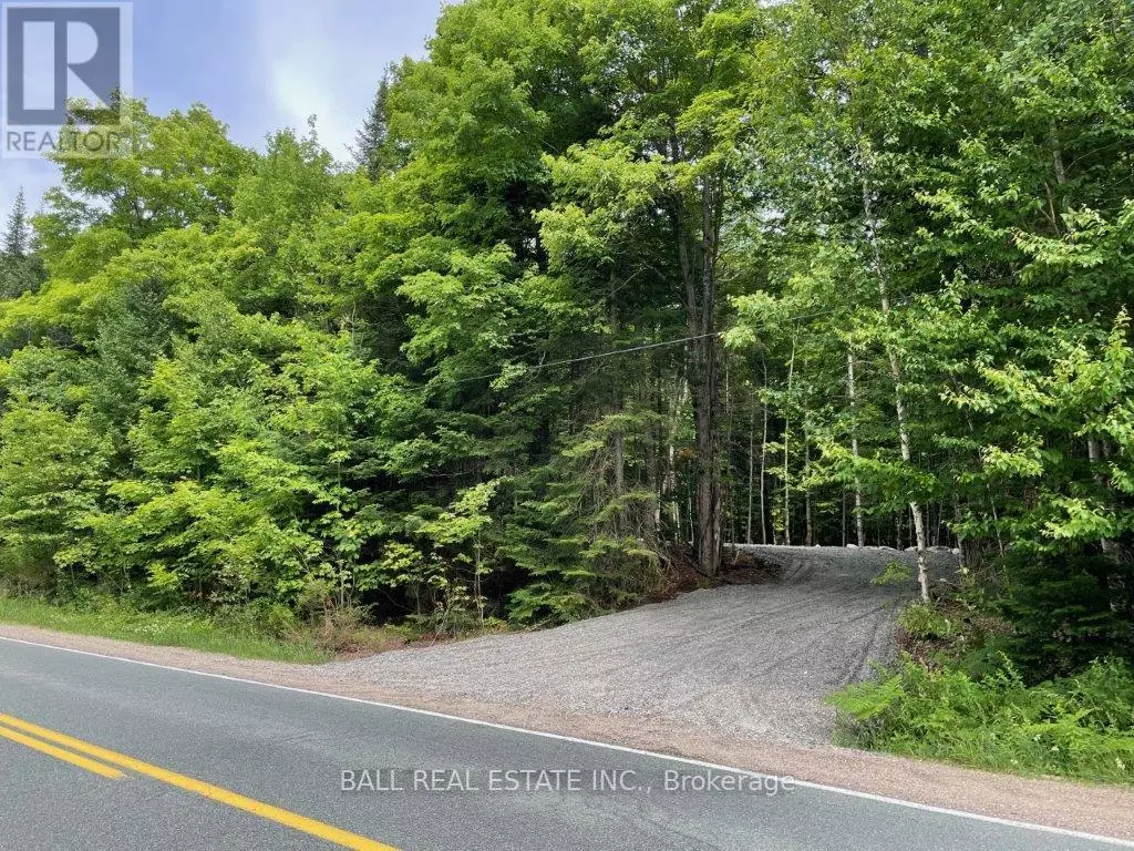 Dysart Et Al (dysart), ON K0M1S0,1350 HALIBURTON LAKE RD