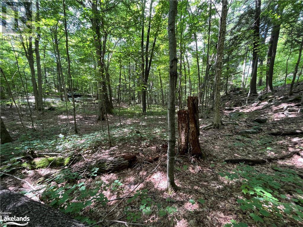 Huntsville (stisted), ON P1H2J2,LOT 134 BRENNAN CIRCLE