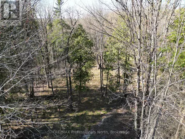 Dysart Et Al (guilford), ON K0M1M0,TBD NORTH DRIVE