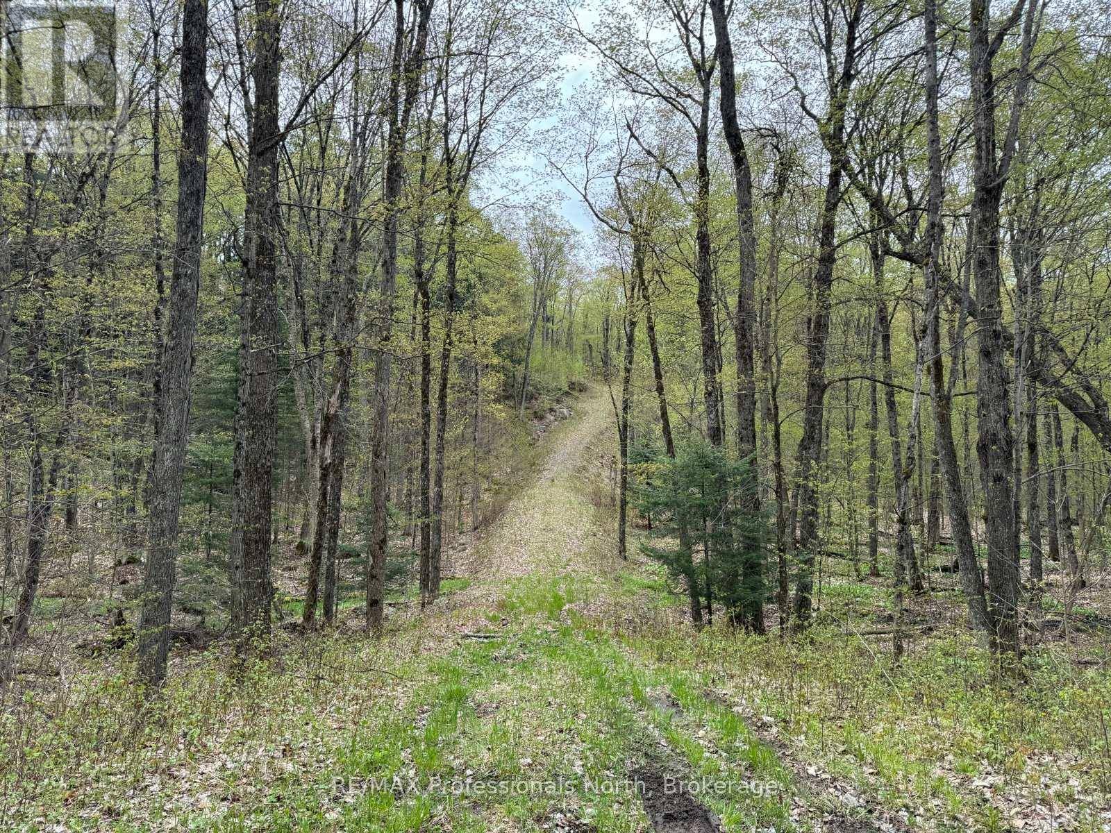 Dysart Et Al (guilford), ON K0M1M0,LOT 166 GLEN LAKE COURT