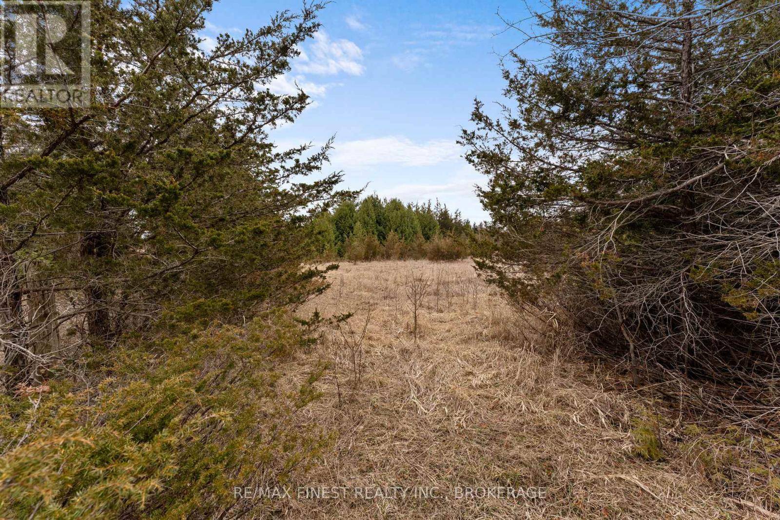 Greater Napanee (greater Napanee), ON K7R3L1,210 BEECHWOOD ROAD