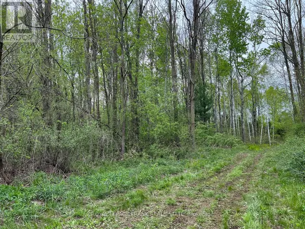 Alnwick/haldimand (grafton), ON K0K1S0,. RUTHERFORD ROAD