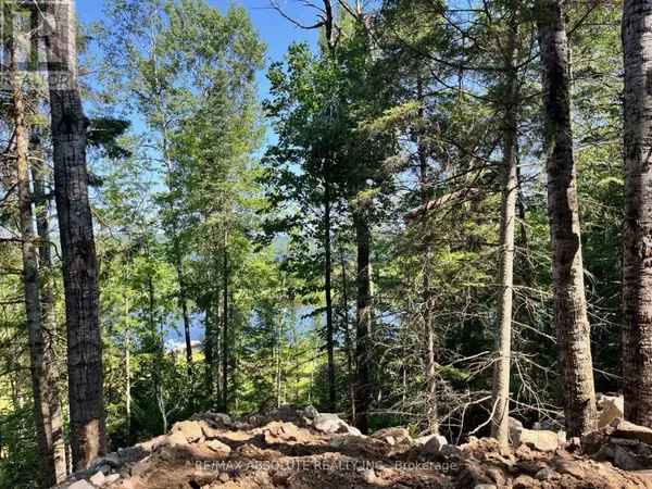 Greater Madawaska, ON K0J2R0,4634-1 MATAWATCHAN ROAD