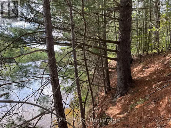 Madawaska Valley, ON K0J1B0,LOT 29 SANDY SHORES TRAIL