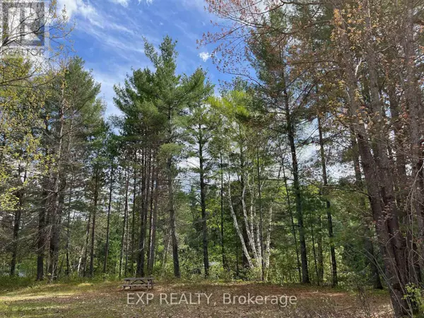Madawaska Valley, ON K0J1B0,LOT 35 SANDY SHORES TRAIL