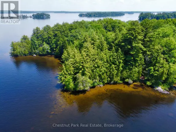 Muskoka Lakes (wood (muskoka Lakes)), ON P0B1J0,1 CEDAR ISLAND