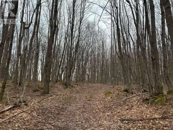 Northern Bruce Peninsula, ON N0H1W0,PT LT 9 CON 14 EBR PT 7 (3R1116) CONCESSION