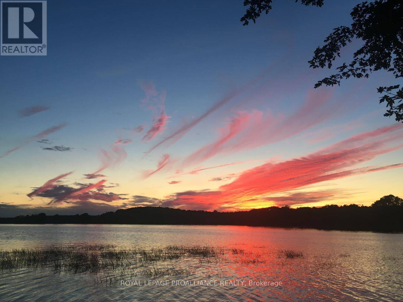 Rideau Lakes, ON K0G1V0,365 MCNAMEE LANE