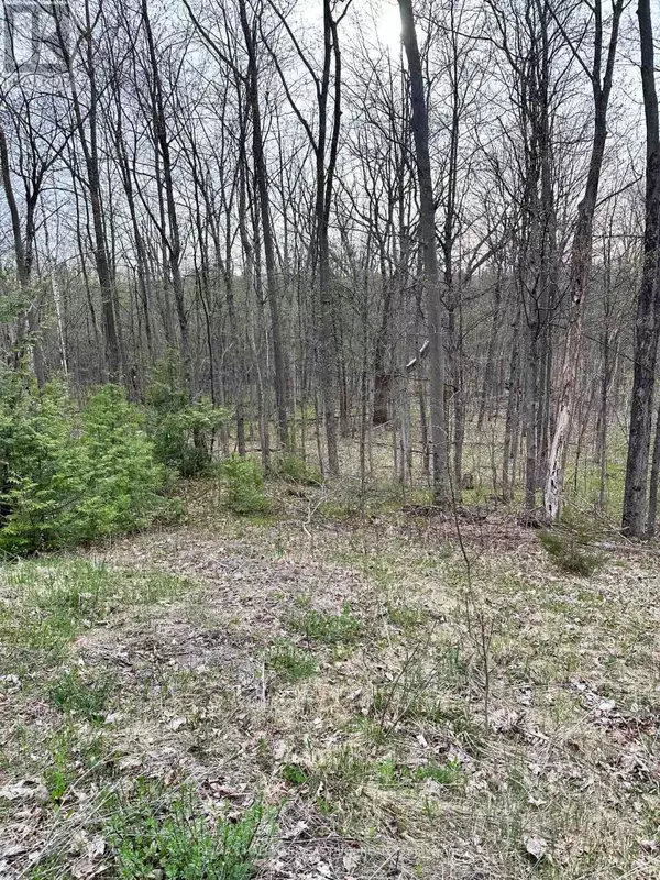 Trent Hills (hastings), ON K0L1Y0,62 TRENT VIEW DRIVE