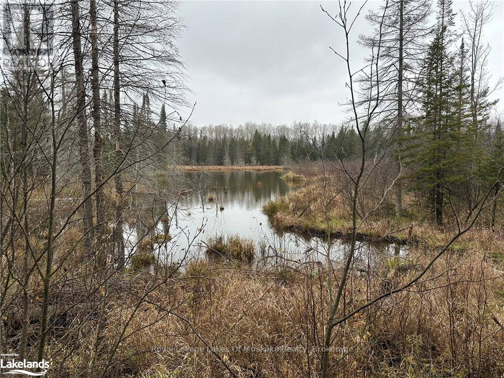 Ryerson, ON P0A1C0,LOT 3 HILL AND GULLY ROAD