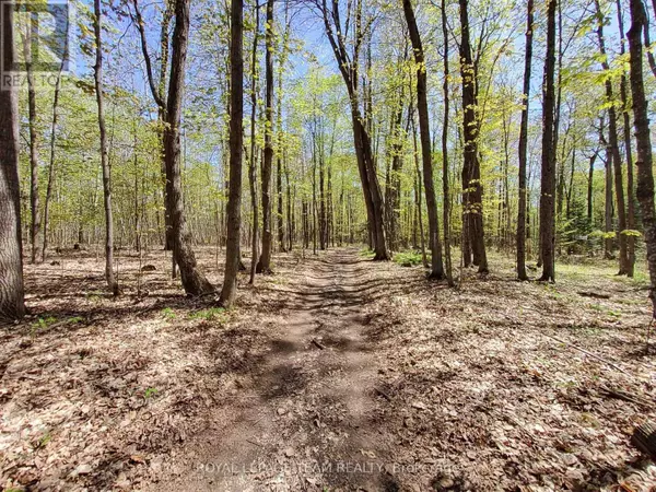 0, ON K0G1T0,0 TOTEM RANCH ROAD